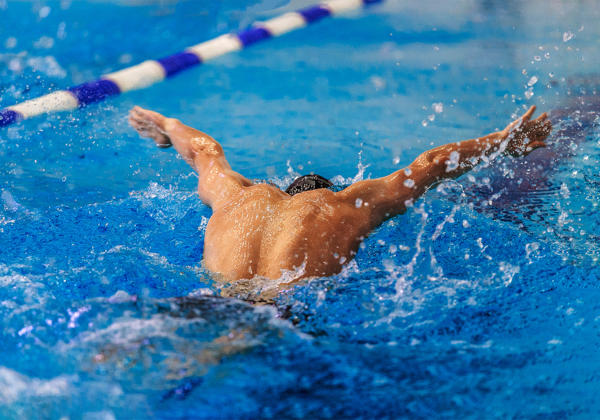 Back Athlete Swimmer Swim Butterfly In Swimming Competition